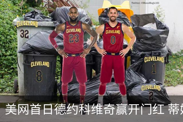 美网首日德约科维奇赢开门红 蒂姆施瓦茨曼挥别